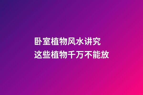 卧室植物风水讲究 这些植物千万不能放